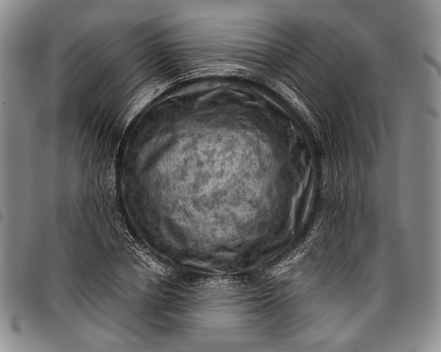 X0000096680834200802191350