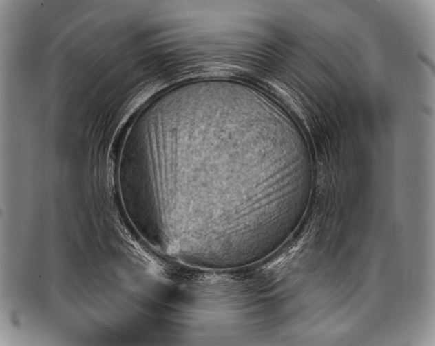 X0000096680835200802191350