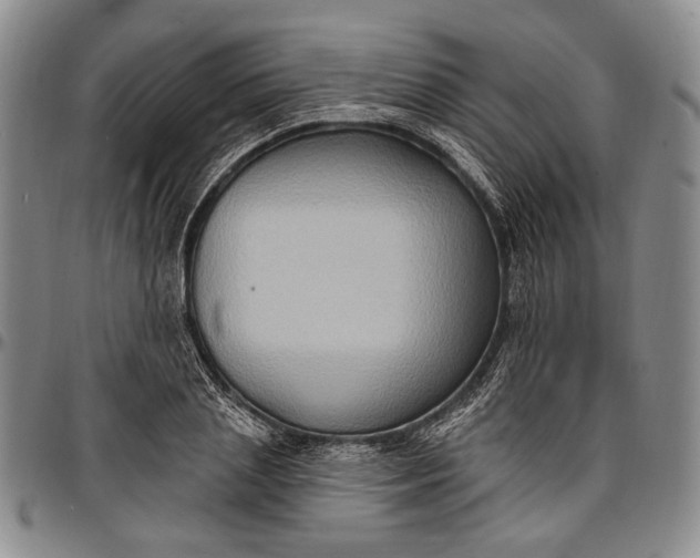 X0000096680837200802191351