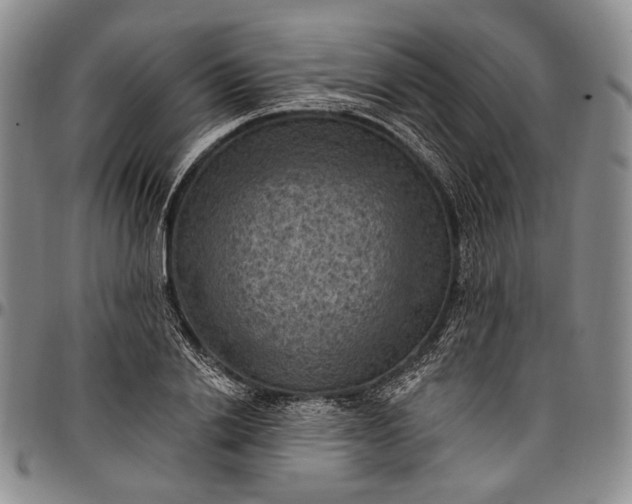 X0000096680838200802191351