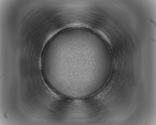 X0000096680839200802191351