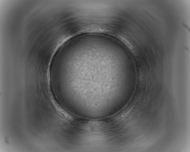 X0000096680840200802191351