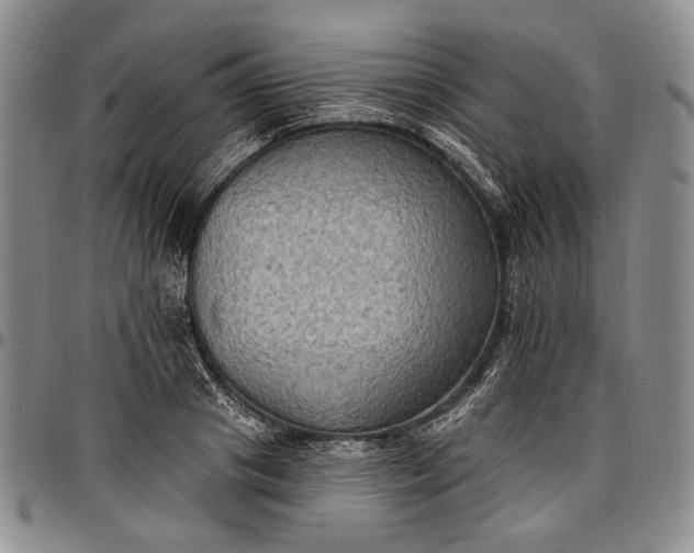 X0000096680841200802191351