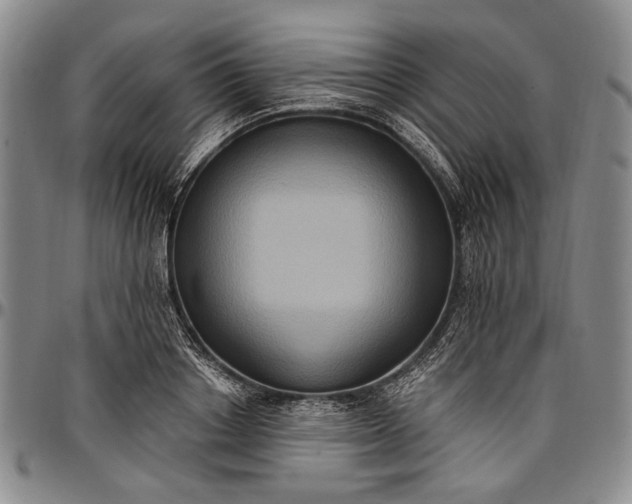 X0000096680842200802191351