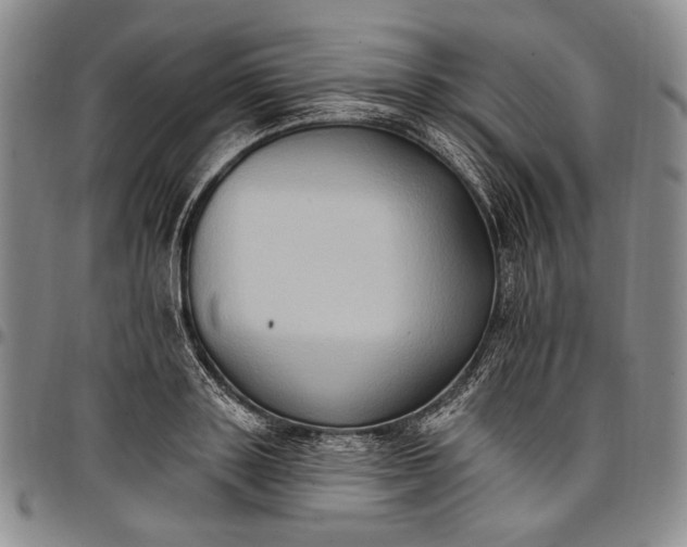X0000096680843200802191351