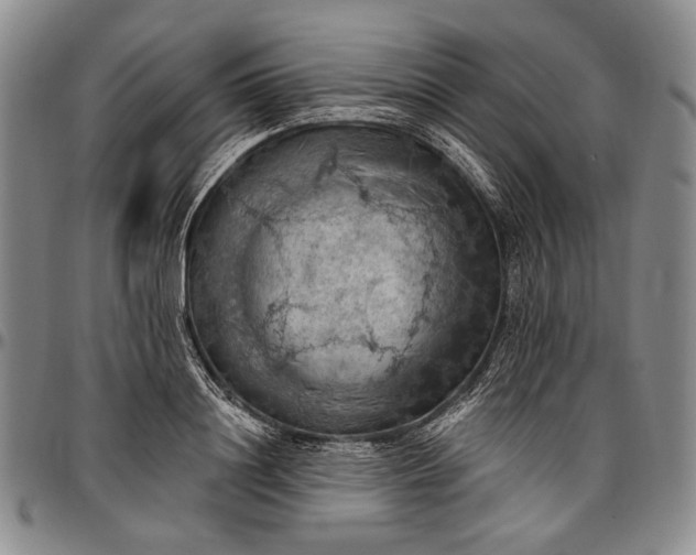X0000096680844200802191351