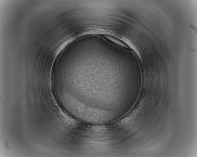 X0000096680845200802191351