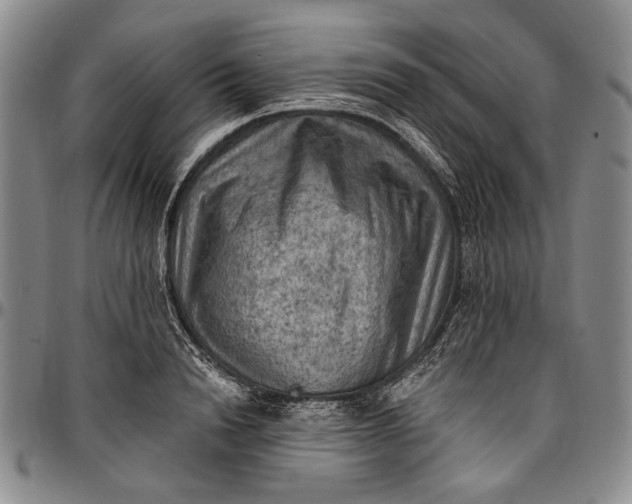X0000096680846200802191351