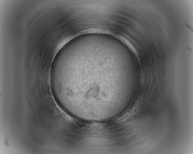 X0000096680847200802191351