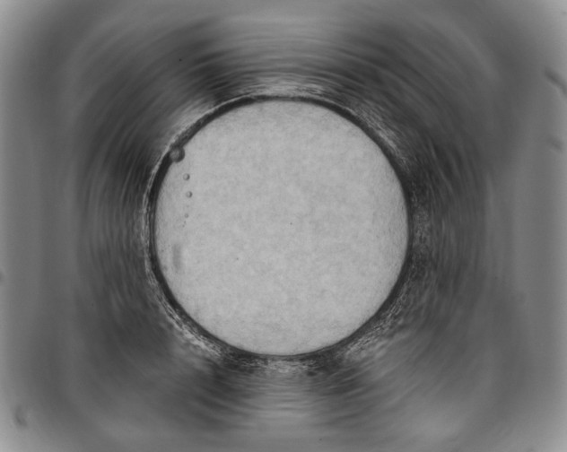 X0000096680848200802191351