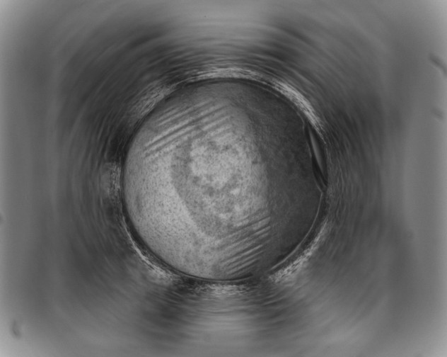 X0000096680849200802191351