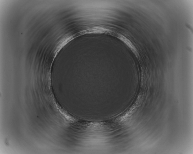 X0000096680850200802191351
