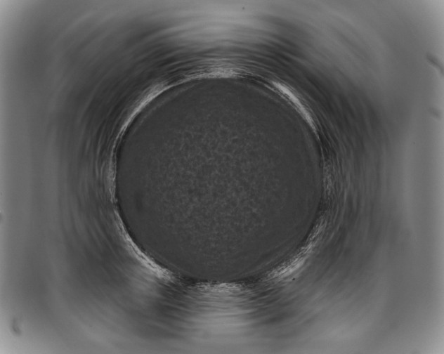 X0000096680851200802191351