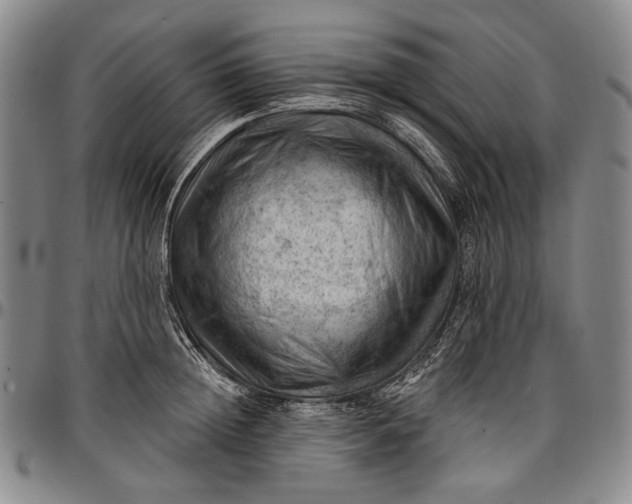 X0000096680852200802191351
