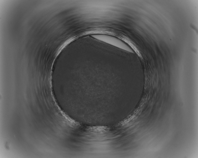 X0000096680853200802191351