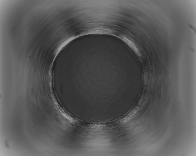 X0000096680854200802191351