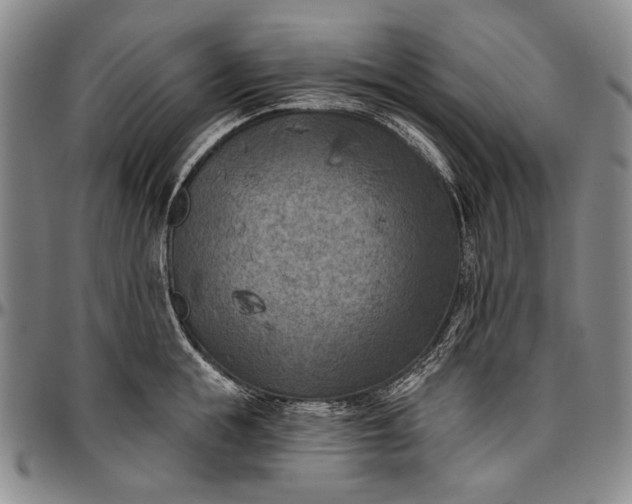 X0000096680855200802191351