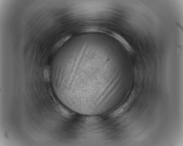 X0000096680857200802191351