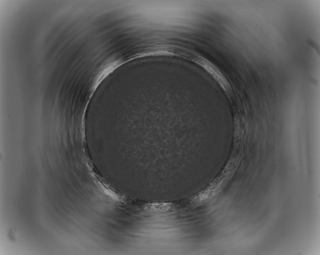 X0000096680858200802191351