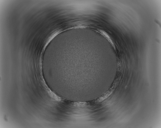X0000096680859200802191351