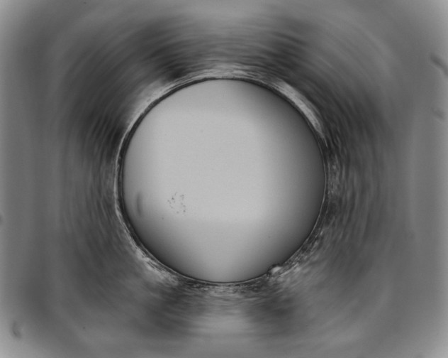 X0000096680861200802191351