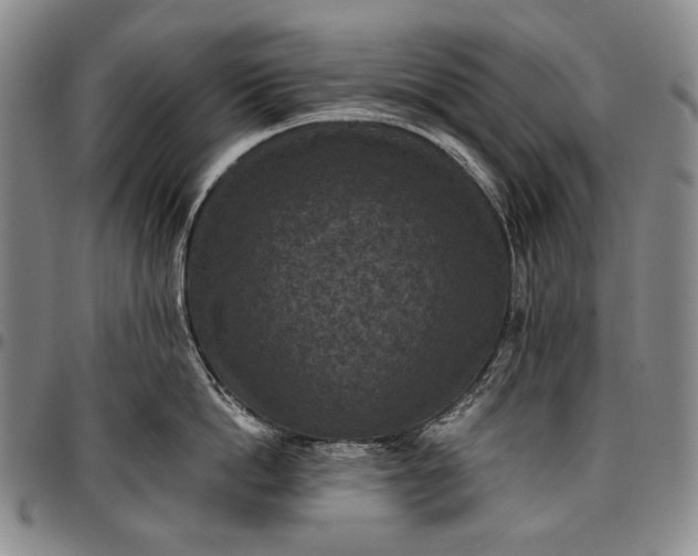 X0000096680862200802191351