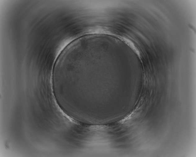 X0000096680863200802191351