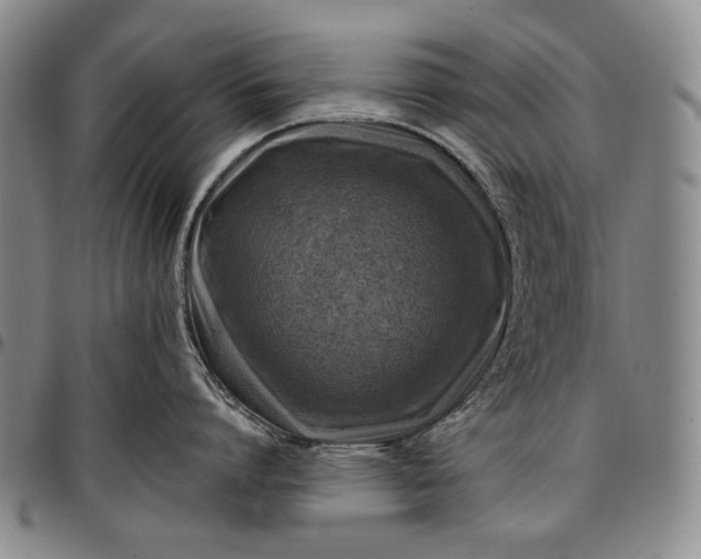 X0000096680864200802191351