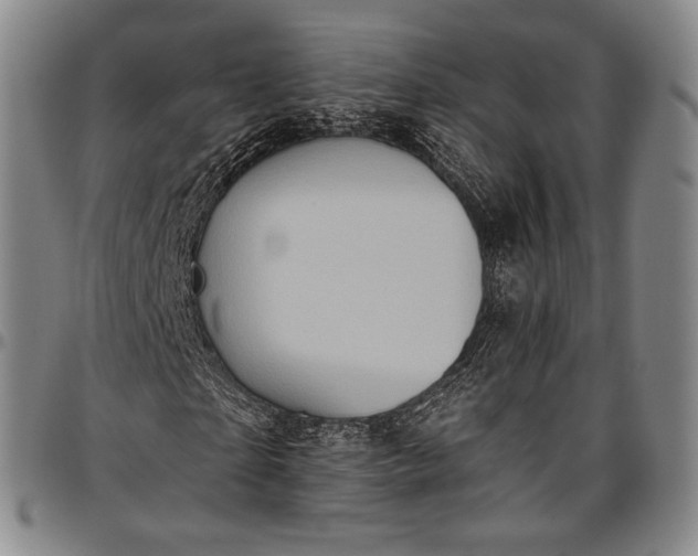 X0000096680865200802191350