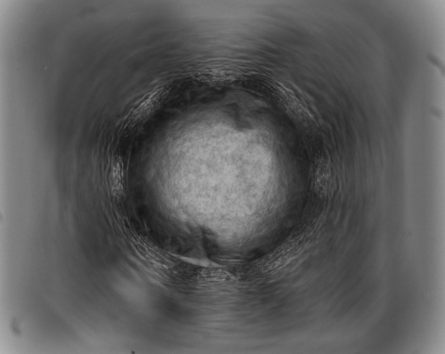 X0000096680866200802191350