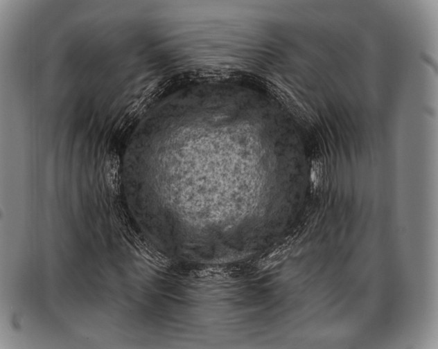 X0000096680867200802191350
