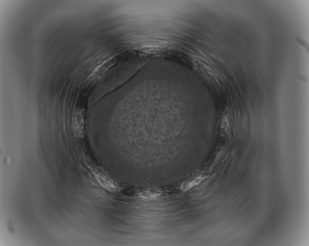 X0000096680868200802191350