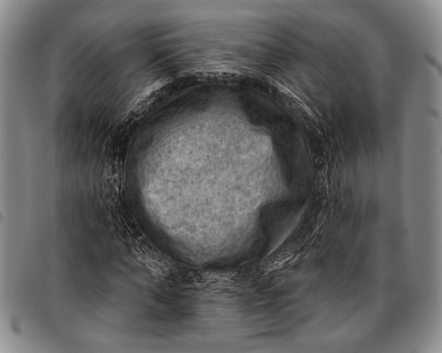 X0000096680870200802191350