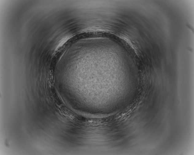 X0000096680871200802191350