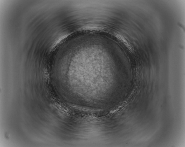 X0000096680872200802191350
