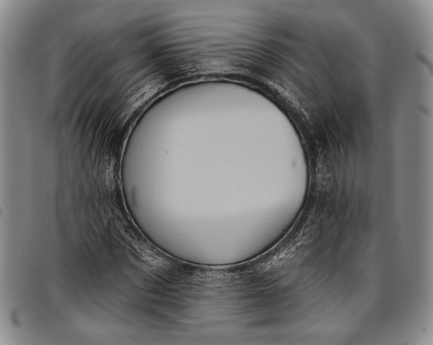 X0000096680873200802191350