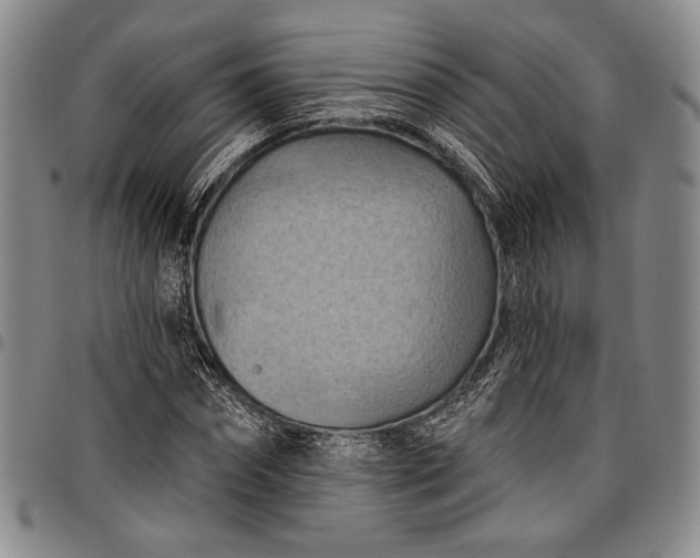 X0000096680874200802191350