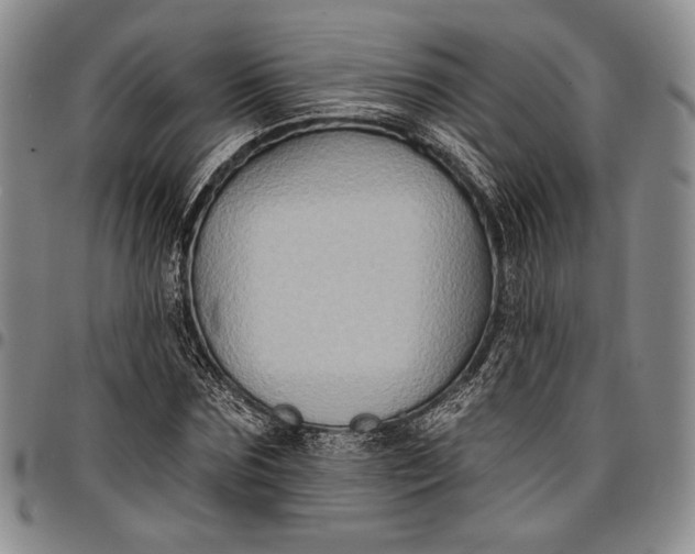 X0000096680875200802191350