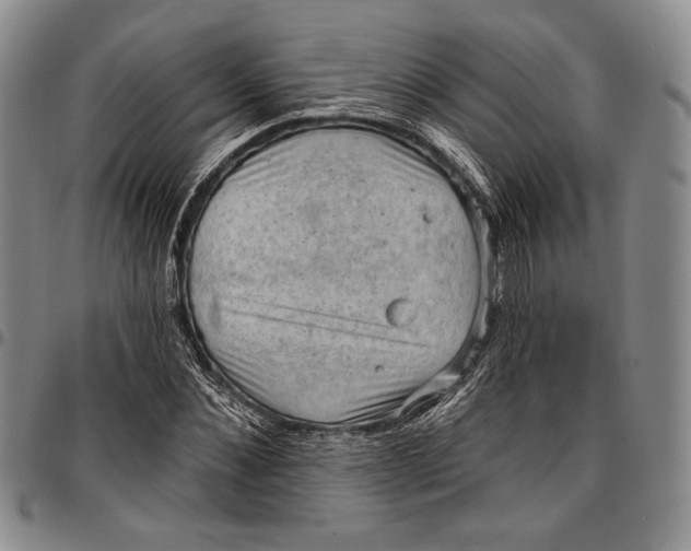 X0000096680876200802191350