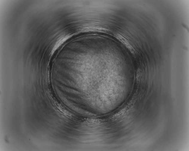 X0000096680877200802191350