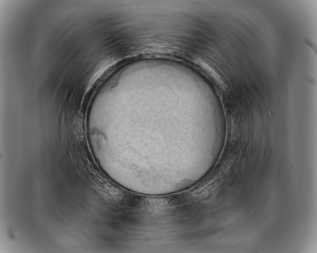 X0000096680878200802191350