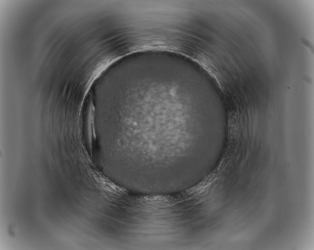 X0000096680879200802191350
