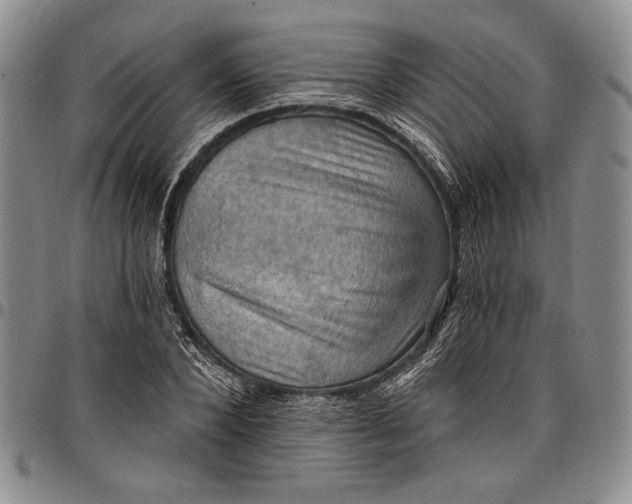 X0000096680880200802191350