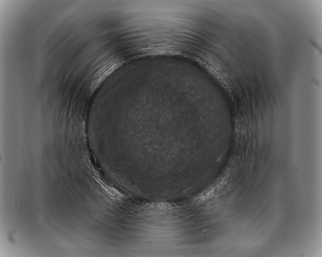 X0000096680881200802191350