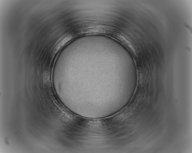 X0000096680882200802191350