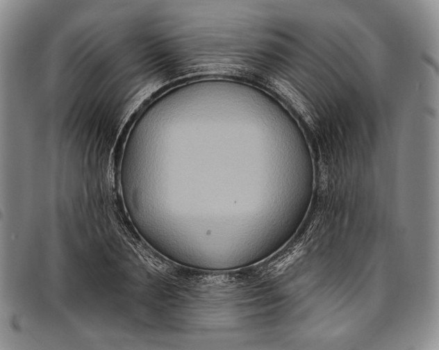 X0000096680883200802191350