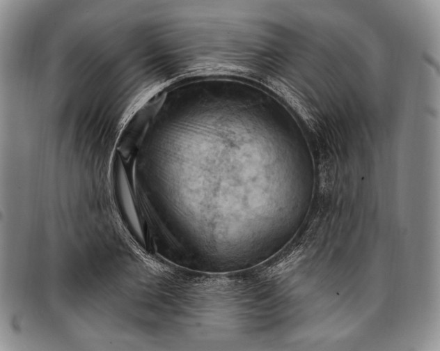 X0000096680885200802191350