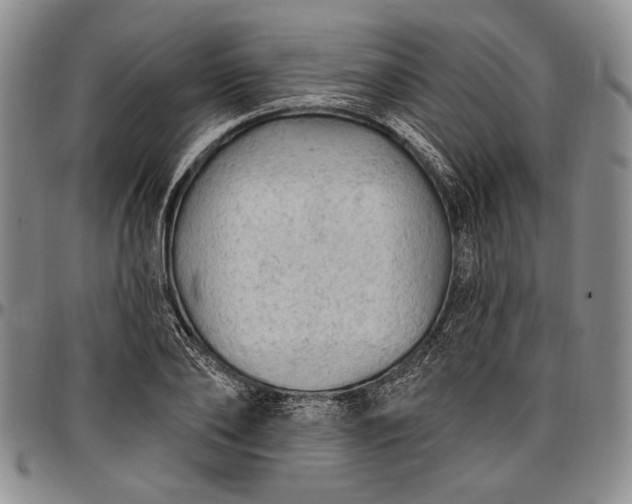 X0000096680886200802191350