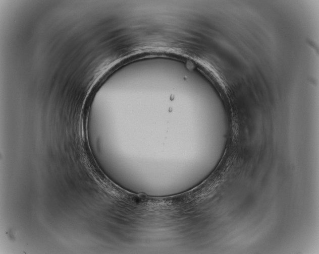 X0000096680887200802191350