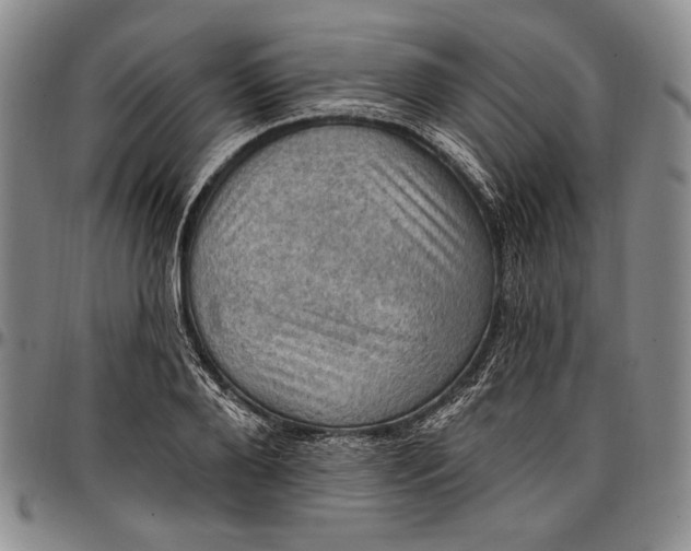 X0000096680888200802191350